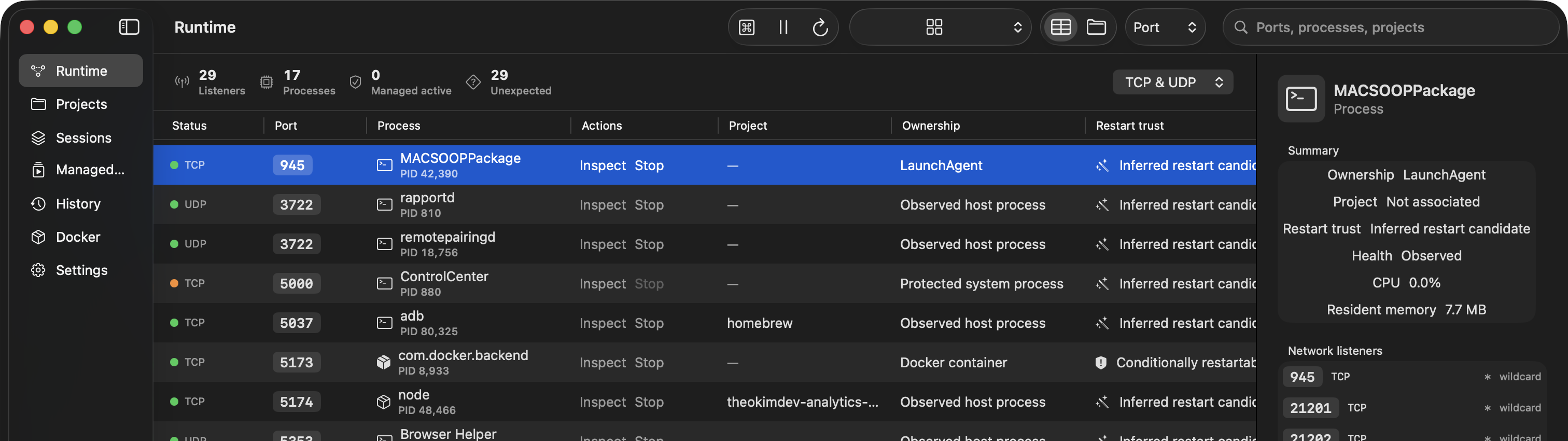 The installed Runtime inspector showing process identity, ownership, project, and safe-action evidence