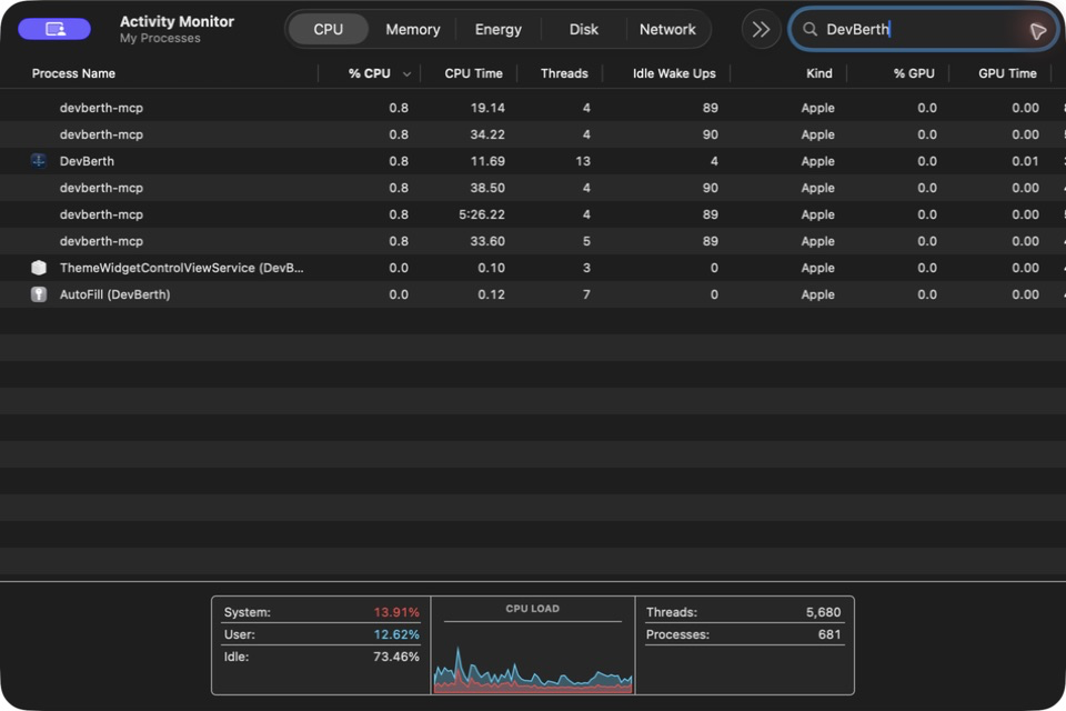 An illustrative current Activity Monitor view filtered to DevBerth, showing the app and several STDIO helpers owned by active clients
